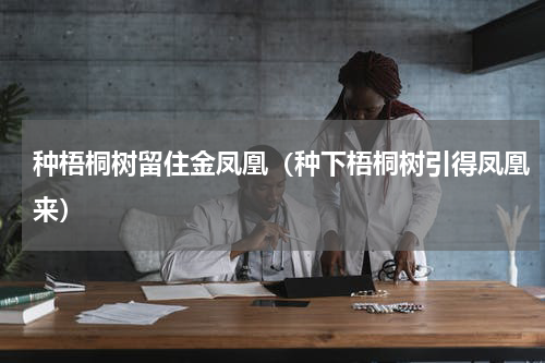 种梧桐树留住金凤凰（种下梧桐树引得凤凰来）