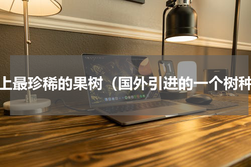 世上最珍稀的果树（国外引进的一个树种）