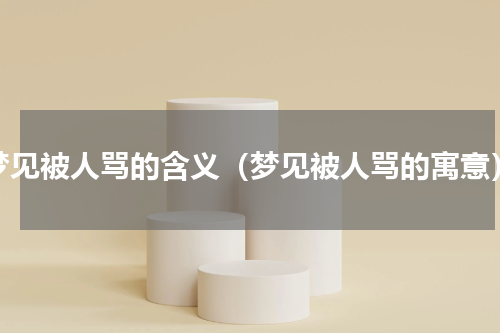 梦见被人骂的含义（梦见被人骂的寓意）