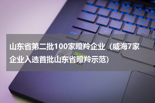 山东省第二批100家瞪羚企业（威海7家企业入选首批山东省瞪羚示范）