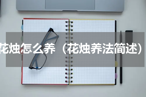 花烛怎么养（花烛养法简述）