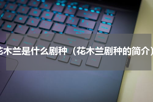 花木兰是什么剧种（花木兰剧种的简介）