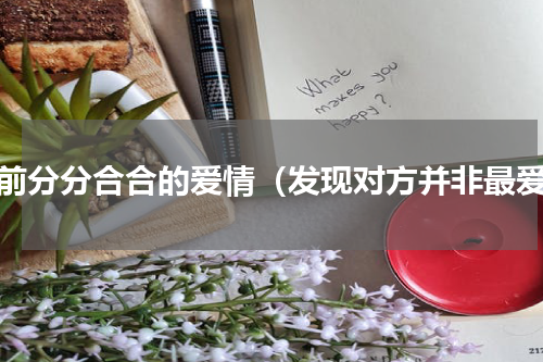 婚前分分合合的爱情（发现对方并非最爱）