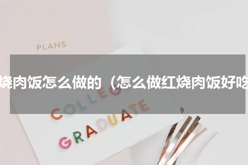 红烧肉饭怎么做的（怎么做红烧肉饭好吃）