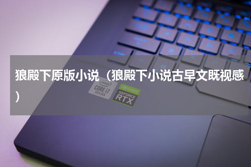 狼殿下原版小说（狼殿下小说古早文既视感）