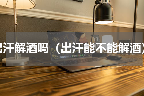 出汗解酒吗（出汗能不能解酒）