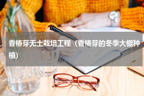 香椿芽无土栽培工程（香椿芽的冬季大棚种植）