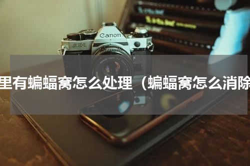 家里有蝙蝠窝怎么处理（蝙蝠窝怎么消除）