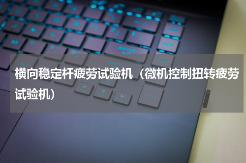 横向稳定杆疲劳试验机（微机控制扭转疲劳试验机）