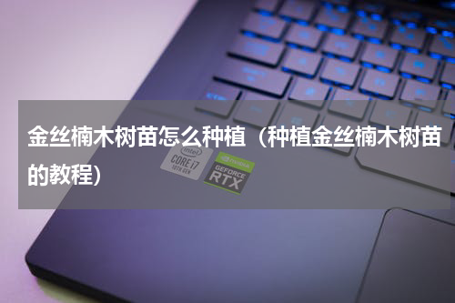金丝楠木树苗怎么种植（种植金丝楠木树苗的教程）