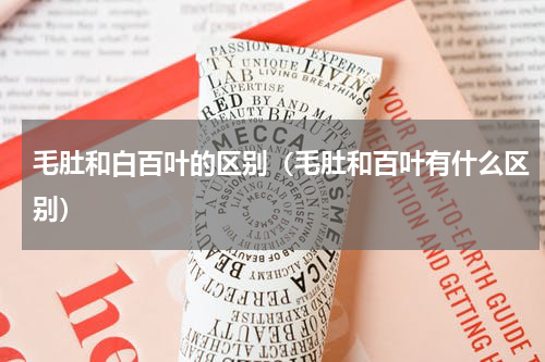 毛肚和白百叶的区别（毛肚和百叶有什么区别）