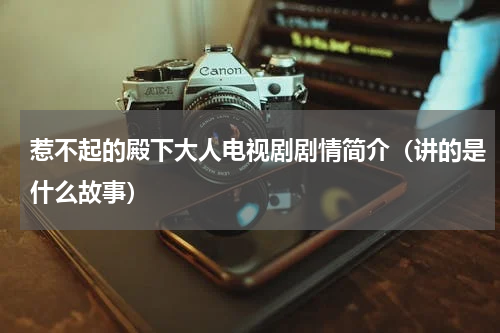 惹不起的殿下大人电视剧剧情简介（讲的是什么故事）
