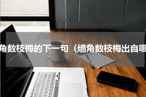 墙角数枝梅的下一句（墙角数枝梅出自哪）