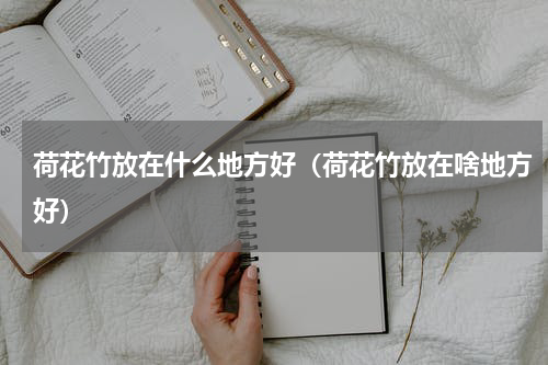 荷花竹放在什么地方好（荷花竹放在啥地方好）