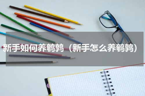 新手如何养鹌鹑（新手怎么养鹌鹑）