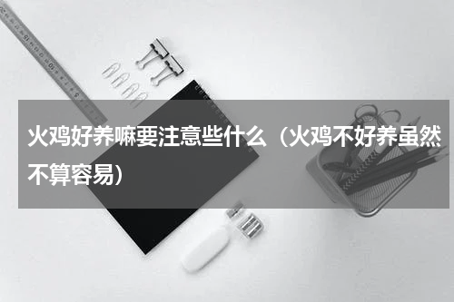 火鸡好养嘛要注意些什么（火鸡不好养虽然不算容易）