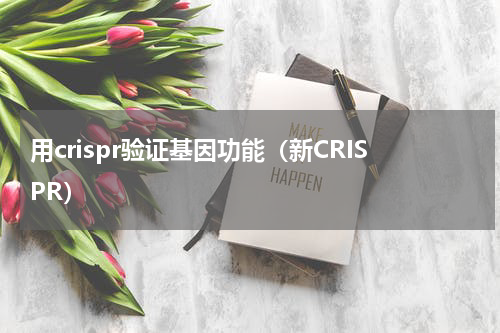 用crispr验证基因功能（新CRISPR）