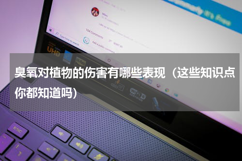 臭氧对植物的伤害有哪些表现（这些知识点你都知道吗）
