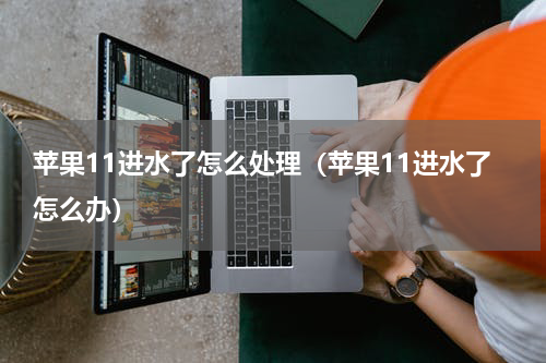 苹果11进水了怎么处理（苹果11进水了怎么办）