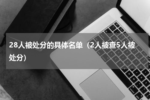 28人被处分的具体名单（2人被查5人被处分）