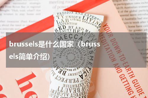 brussels是什么国家（brussels简单介绍）