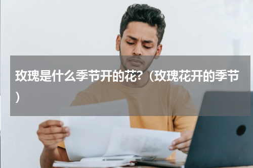 玫瑰是什么季节开的花?（玫瑰花开的季节）