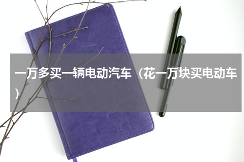 一万多买一辆电动汽车（花一万块买电动车）