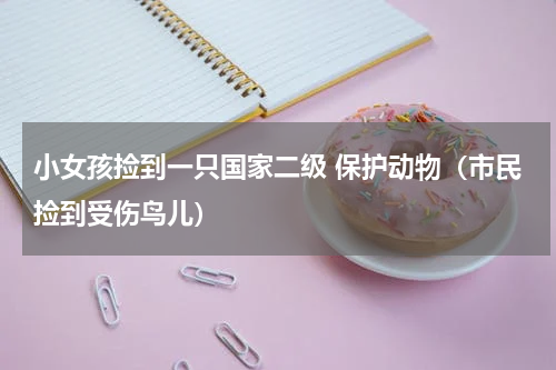 小女孩捡到一只国家二级 保护动物（市民捡到受伤鸟儿）