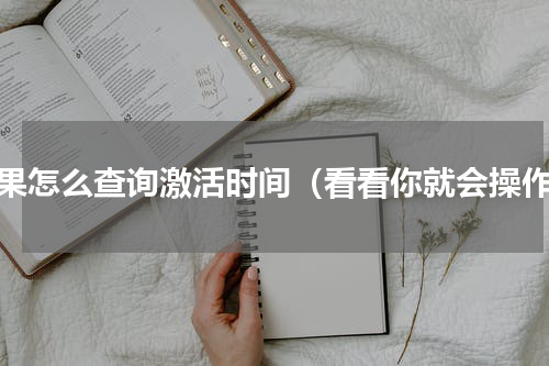 苹果怎么查询激活时间（看看你就会操作）