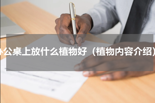 办公桌上放什么植物好（植物内容介绍）