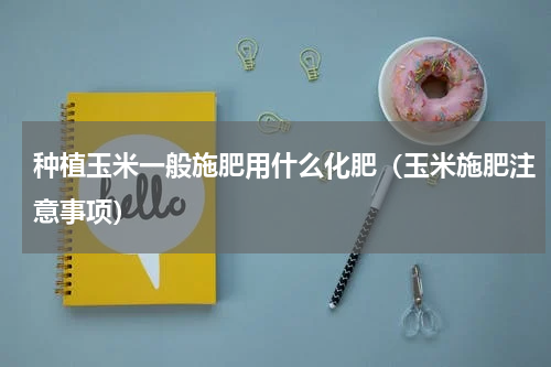 种植玉米一般施肥用什么化肥（玉米施肥注意事项）