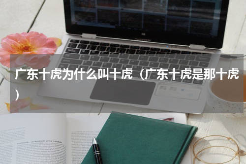 广东十虎为什么叫十虎（广东十虎是那十虎）