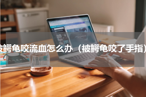 被鳄龟咬流血怎么办（被鳄龟咬了手指）