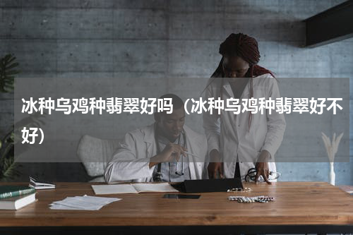 冰种乌鸡种翡翠好吗（冰种乌鸡种翡翠好不好）