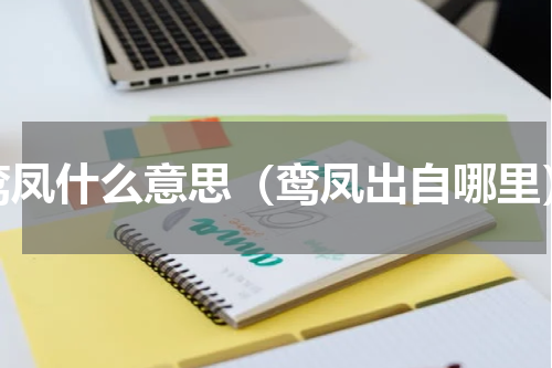 鸾凤什么意思（鸾凤出自哪里）