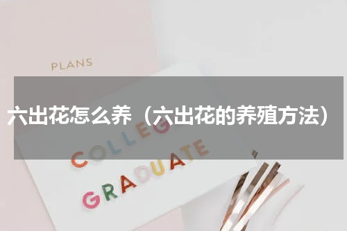 六出花怎么养（六出花的养殖方法）