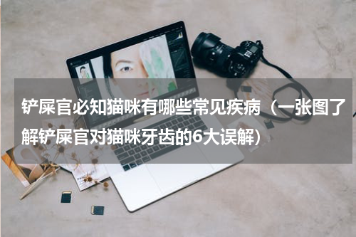 铲屎官必知猫咪有哪些常见疾病（一张图了解铲屎官对猫咪牙齿的6大误解）