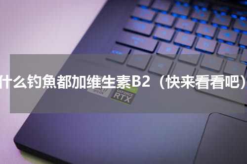 为什么钓魚都加维生素B2（快来看看吧）