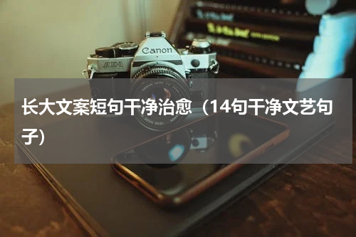 长大文案短句干净治愈（14句干净文艺句子）