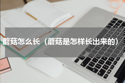 蘑菇怎么长（蘑菇是怎样长出来的）