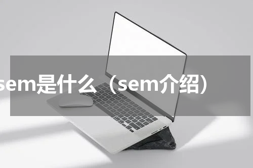 sem是什么（sem介绍）
