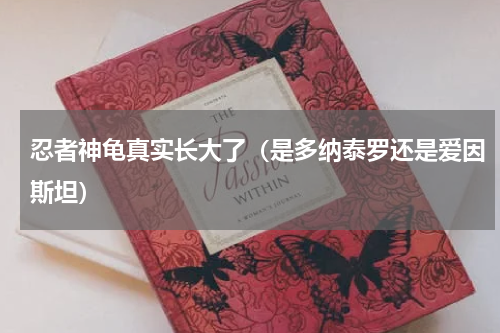忍者神龟真实长大了（是多纳泰罗还是爱因斯坦）