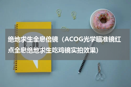 绝地求生全息倍镜（ACOG光学瞄准镜红点全息绝地求生吃鸡镜实拍效果）