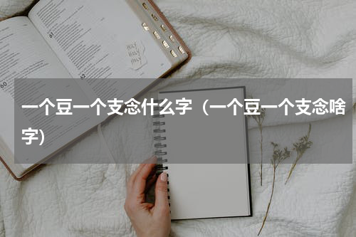 一个豆一个支念什么字（一个豆一个支念啥字）