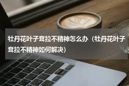 牡丹花叶子耷拉不精神怎么办（牡丹花叶子耷拉不精神如何解决）