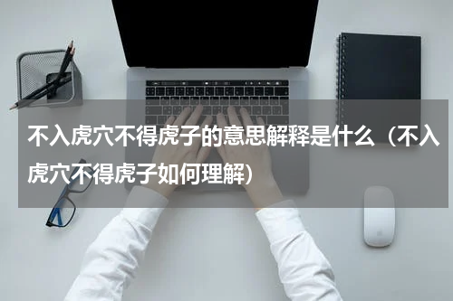 不入虎穴不得虎子的意思解释是什么（不入虎穴不得虎子如何理解）
