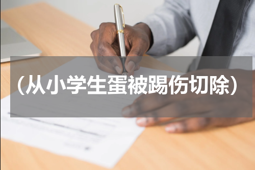 （从小学生蛋被踢伤切除）