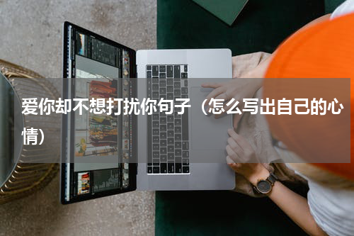 爱你却不想打扰你句子（怎么写出自己的心情）