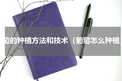葡萄的种植方法和技术（葡萄怎么种植）
