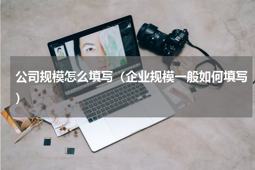 公司规模怎么填写（企业规模一般如何填写）